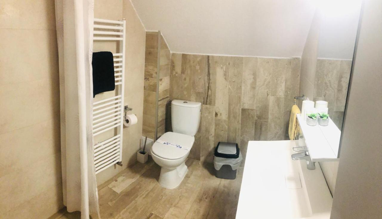 Vila Nona Apartment Sibiu Bagian luar foto