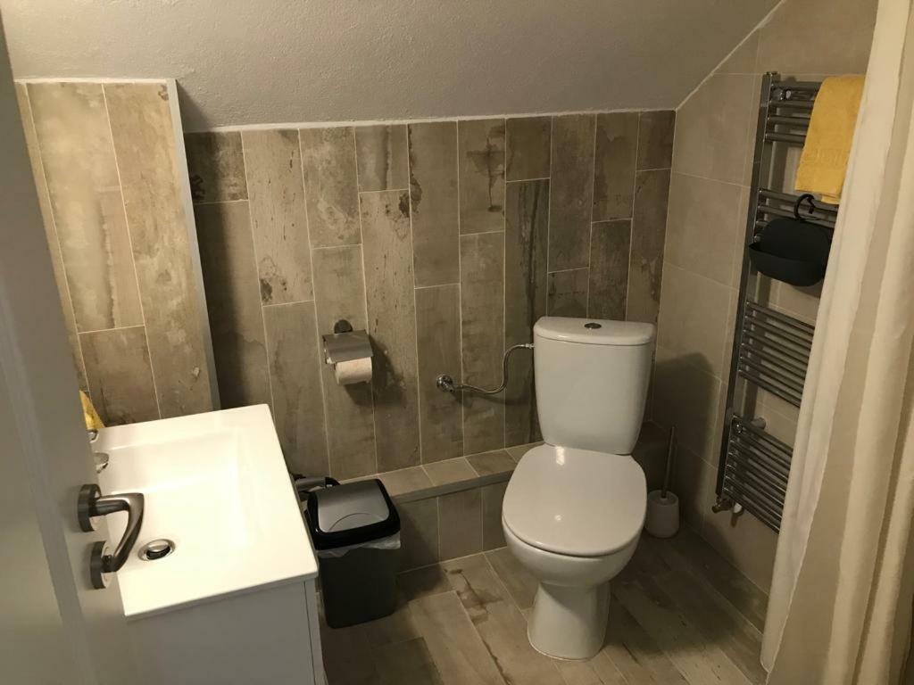 Vila Nona Apartment Sibiu Bagian luar foto